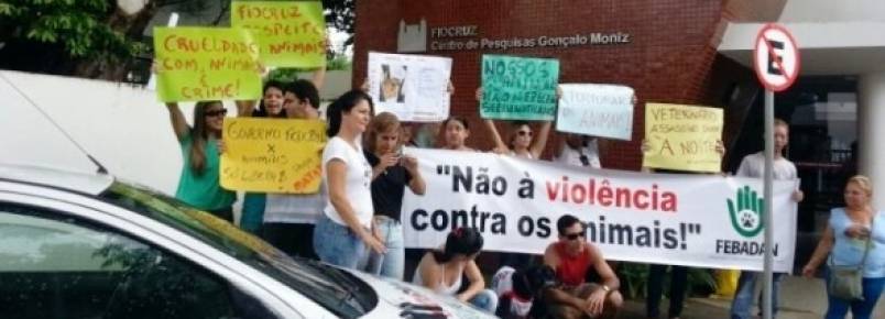 Justiça proíbe Fiocruz de realizar testes em animais em Salvador