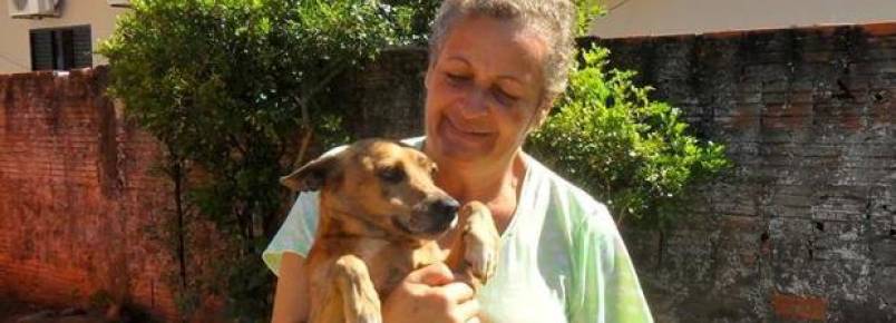 Formada em letras, professora abandona profissão por amor aos animais