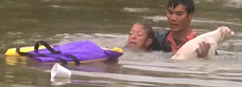 Homem salva mulher e cachorro de carro que estava afundando em enchente