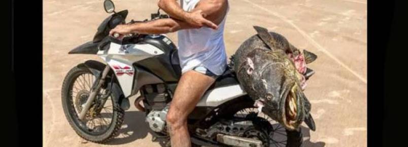 Henri Castelli posta foto com peixe ameaçado de extinção e recebe multa