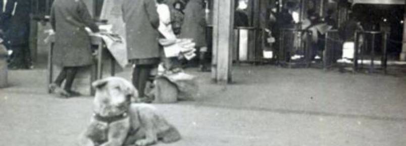 Nova foto rara de Hachiko foi encontrada