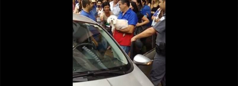 Mulher deixa cãozinho preso em carro por mais de 2 horas em Fernandópolis (SP)