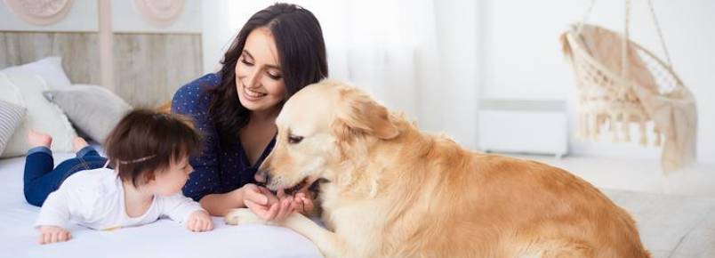 Relação entre bebê e cão: confira dicas para uma integração ideal