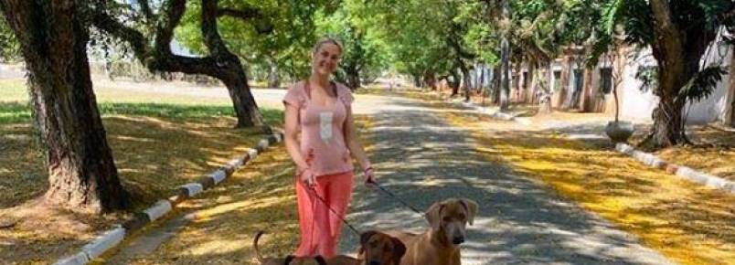 Malhação de Ana Hickmann e os seus 19 pets