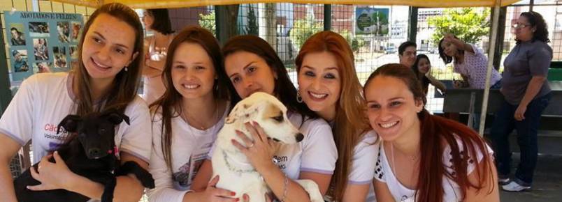 Cãopanhia do Bem vai estar no Encontro dos Apaixonados por Cães