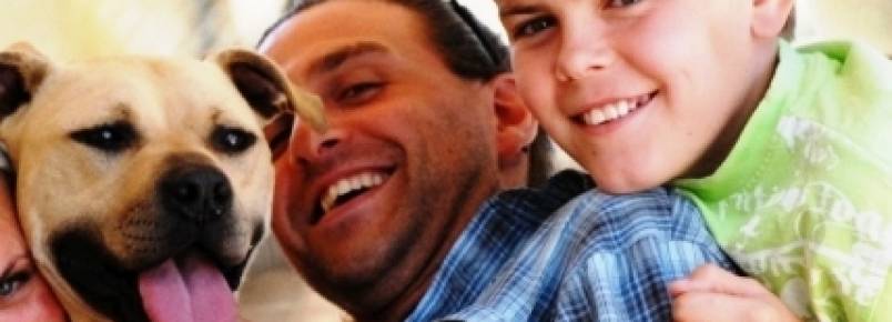 Santuário reabilita 22 cães que eram usados em brigas