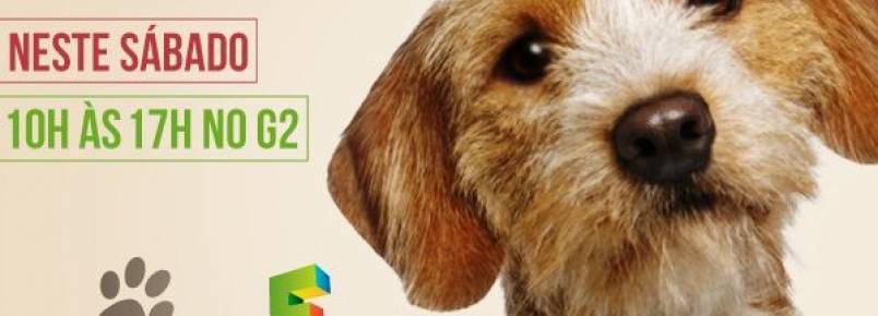 Feira de adoção de Animais no Floripa Shopping neste sábado (17)