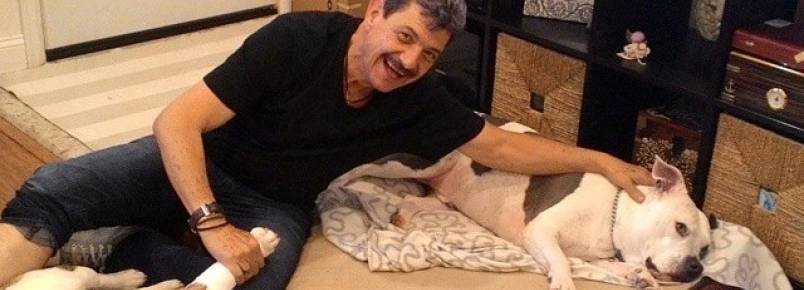 Empresário se diverte com os cães de sua filha