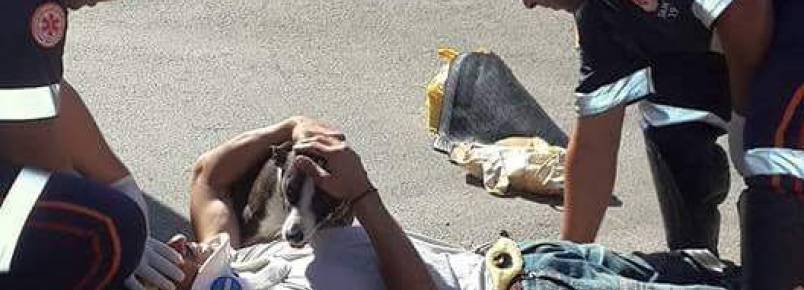 Após acidente, cachorra se recusa a sair de perto de seu tutor