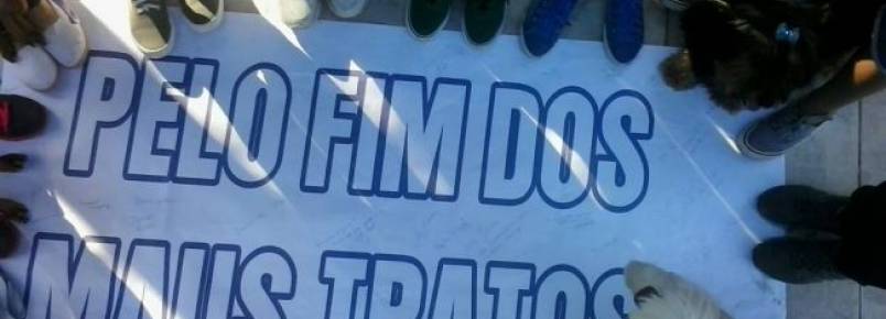 Caminhada reúne 70 pessoas pelo fim dos maus tratos aos animais