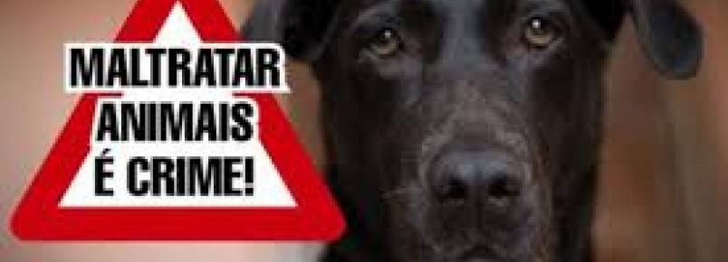 Prefeito sanciona lei que protege animais de maus tratos