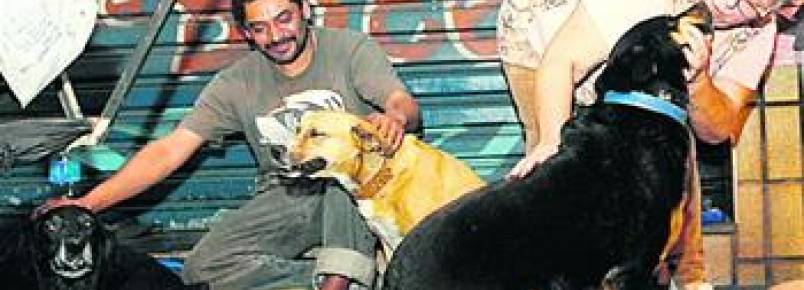 Campanha arrecada verba para levar cães