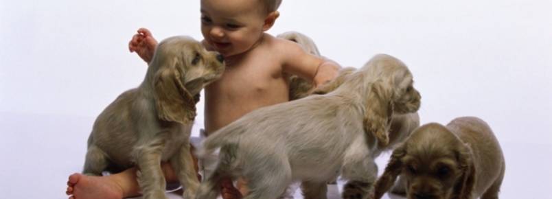 Criança e cachorro. 