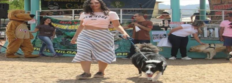 10º Encontro de Cães e Criadores de Itabira, MG, levam apaixonados por animais à praça