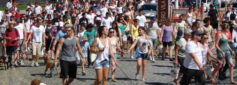 Protetores de animais promovem caminhada neste domingo