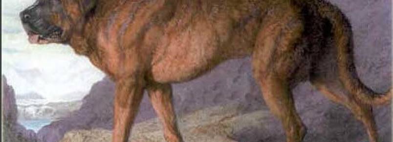 Raças de cães extintas