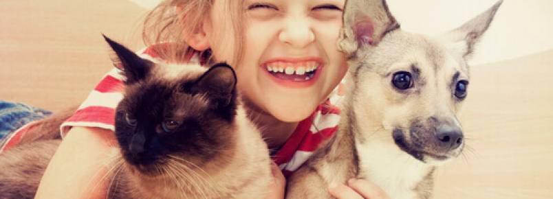Qualquer situação é melhor com um cão ou um gato