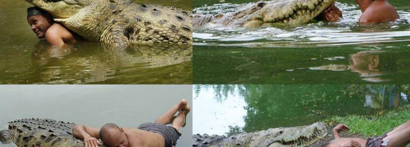 A surpreendente amizade entre um homem e um crocodilo