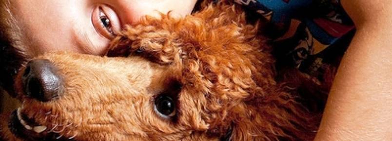 Crianças que vivem com cães são mais sociáveis. 