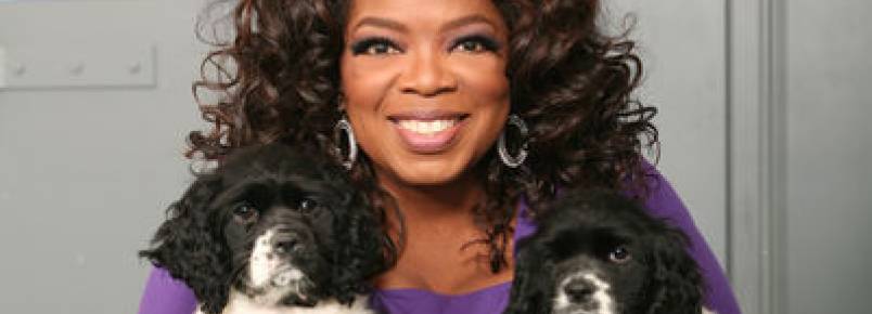 Oprah explica o que é o amor de um cão. 