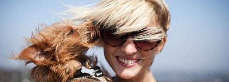 O seu cão te ama ou só quer comida?