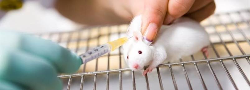 Ineficcia de testes em animais  denunciada em seminrio na OAB/RJ