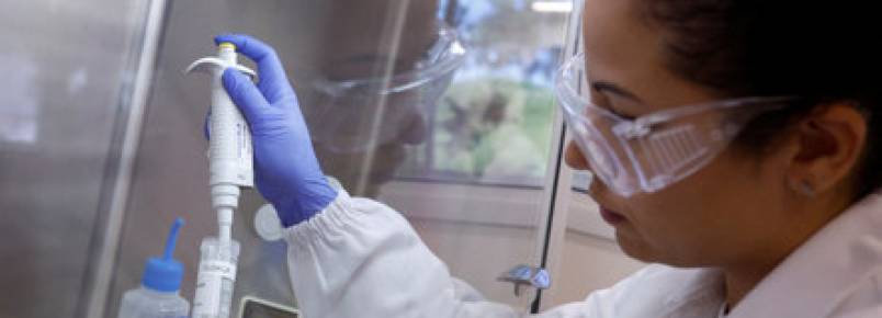 Como maior exportador de aves do mundo, Brasil reforça defesa contra a gripe aviária