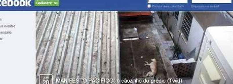 Internautas organizam ato contra maus-tratos e morte de cadela em Porto Alegre (RS)