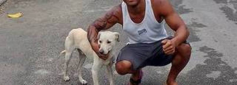 Cachorro faz xixi nas costas de homem e acaba sendo adotado por ele