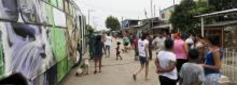 Seda atende 159 animais de comunidades da Voluntários