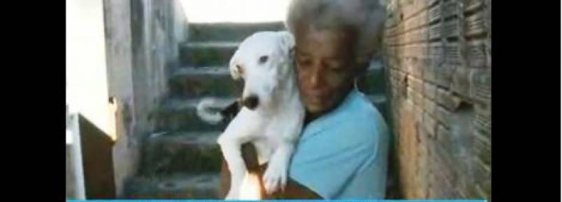 Mulher de São José precisa de lugar para cuidar de 11 cães.