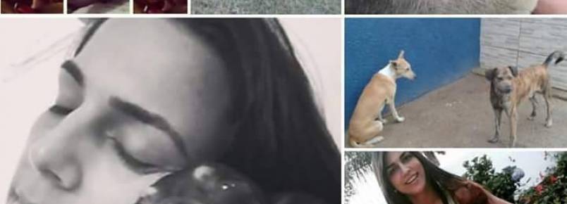 O amor pelos abandonados. Jovem em Itanhomi resgata e cuida de animais de rua