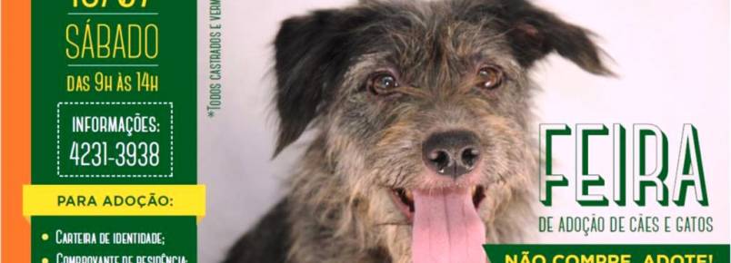 CCZ de São Caetano (SP) realiza feira de adoção de cães e gatos