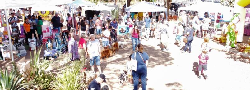 11º Encontro de Cães e Criadores de Itabira, MG, leva muitos cãezinhos na Praça do Campstre, neste domingo 17 de Julho
