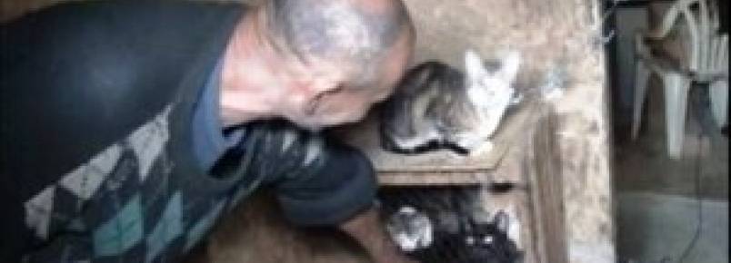 Homem se alimenta de cães e gatos - Caratinga/MG