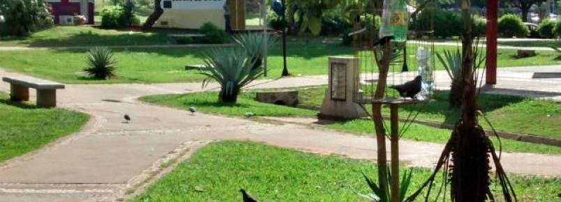 Prefeitura acaba com projeto que alimentava pássaros no Parque do Povo