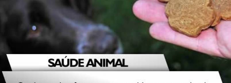 Os riscos de oferecer sua comida ao seu animal