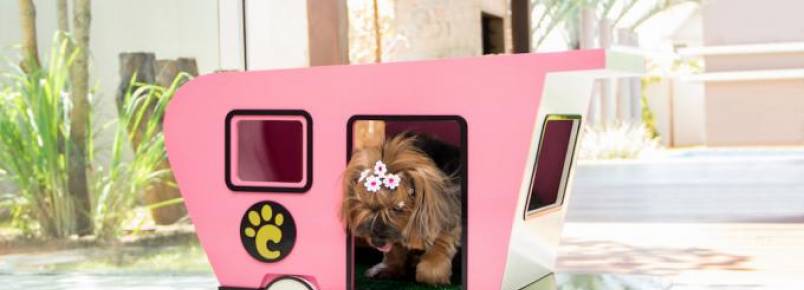 Casinha para cães em formato de trailer