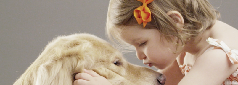 Pets do Bem possibilita que as pessoas comprem ração e ao mesmo tempo ajudem os animais 