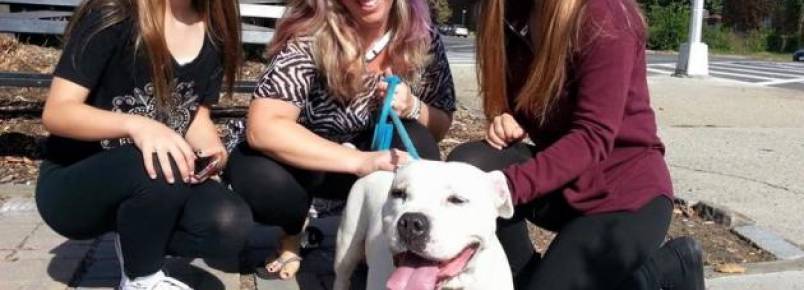 Cachorra que chorou ao ser abandonada tem seu final feliz