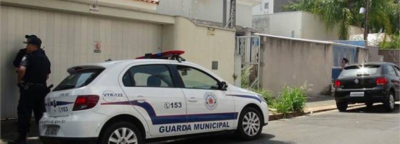 Animais abandonados devem ser retirados de residência