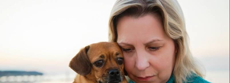 Lei protege animais da violência doméstica em alguns estados dos EUA