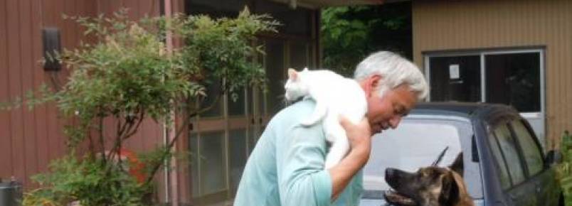 Homem se recusa a sair de Fukushima e  conhecido como Guardio dos animais 