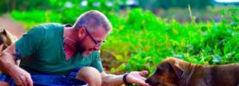 Homem alimenta 80 cães abandonados todos os dias na Tailândia há cinco anos