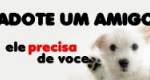 Adotar é Amar