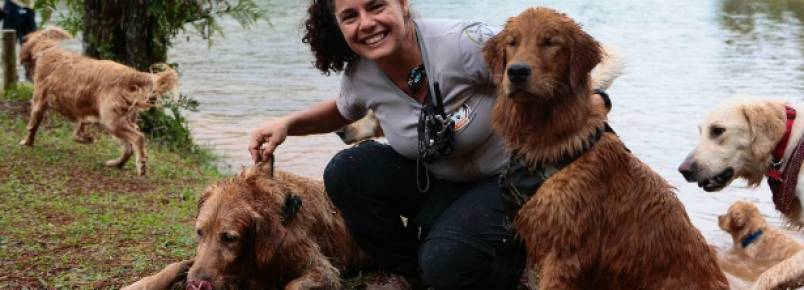Donos levam seus animais de estimação para fazer trilhas na mata