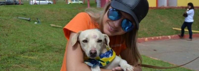 No "1º Encontro de Vira-Latas" sobra gente apaixonada pelos mascotes