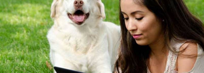 Aulas de Tablet para cachorros