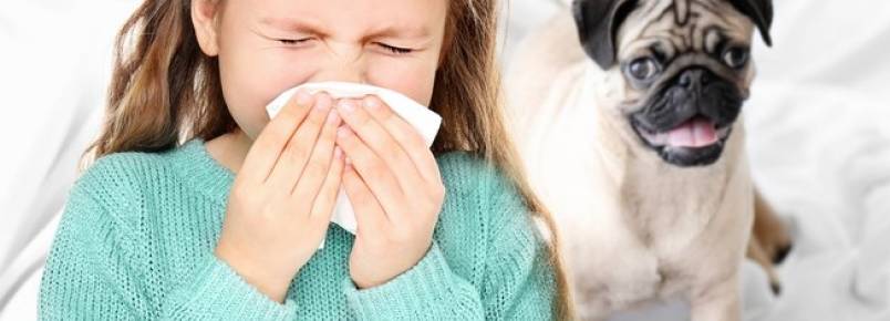 A alergia te impede de ter um pet? Saiba como isso pode mudar 