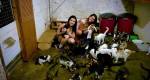 ONGs travam batalha para salvar animais “descartados” pela sociedade